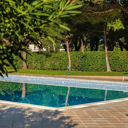 The Patio فندق