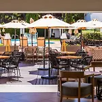 The Patio البوفيرا