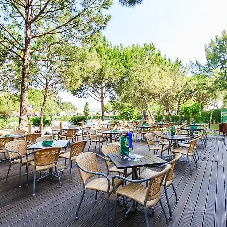 The Patio 4* 알부페이라